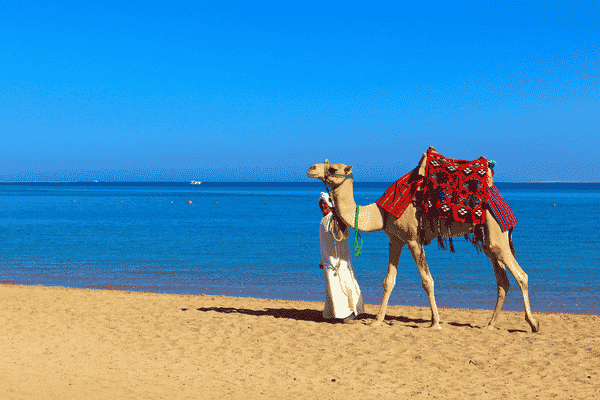 Super Travel Egypt