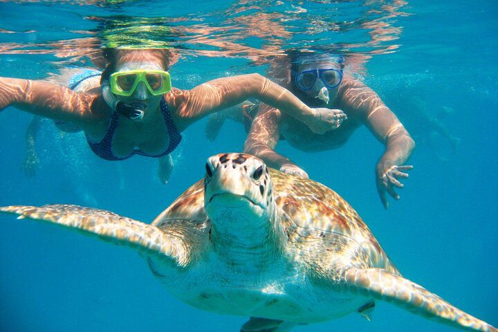 Abu Dabbab Turtle Beach
