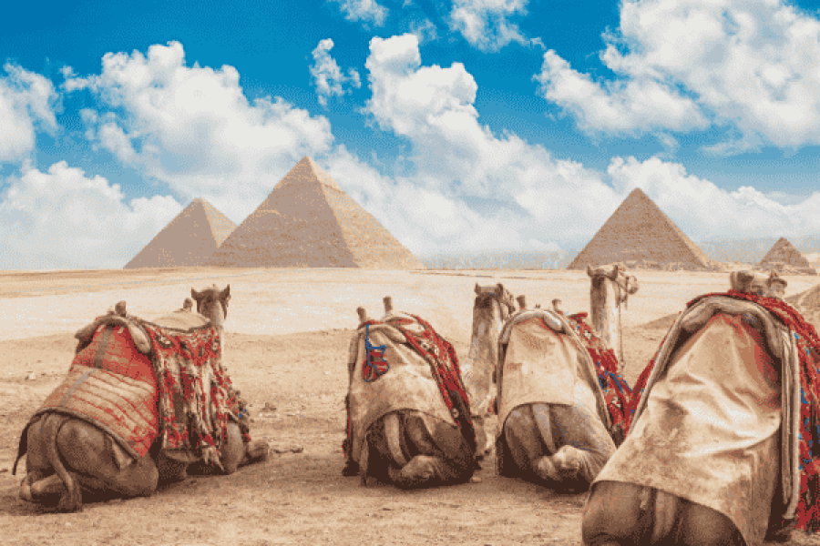 Cairo by plane