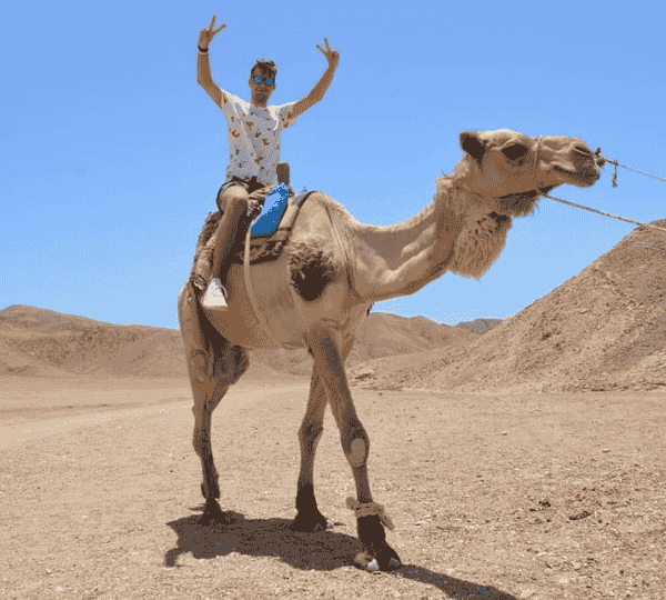 3 Hours Makadi Bay Safari