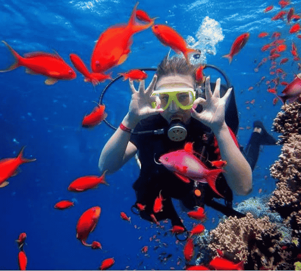 Diving