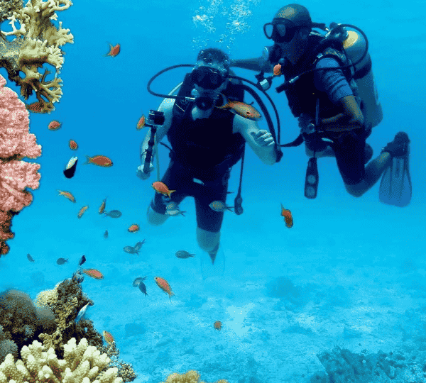 Diving