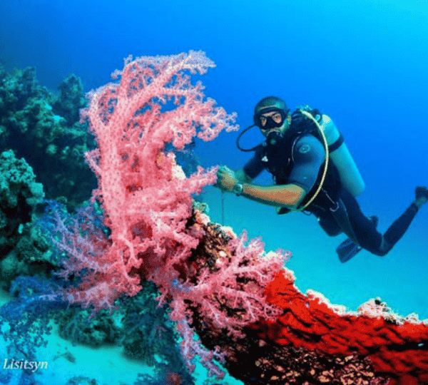 Diving