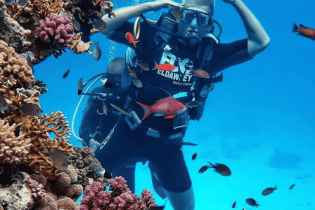 Diving
