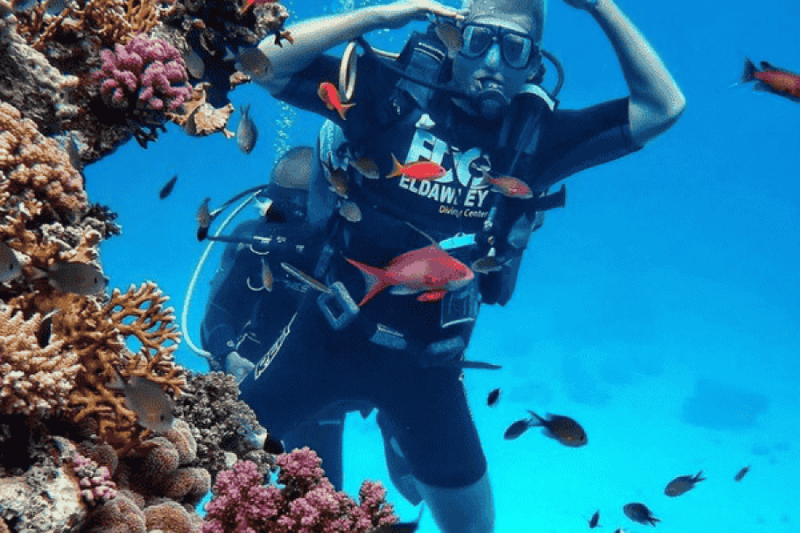 Diving