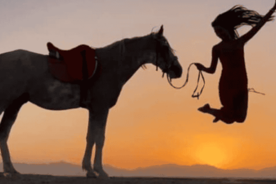 Horse riding 3 hours