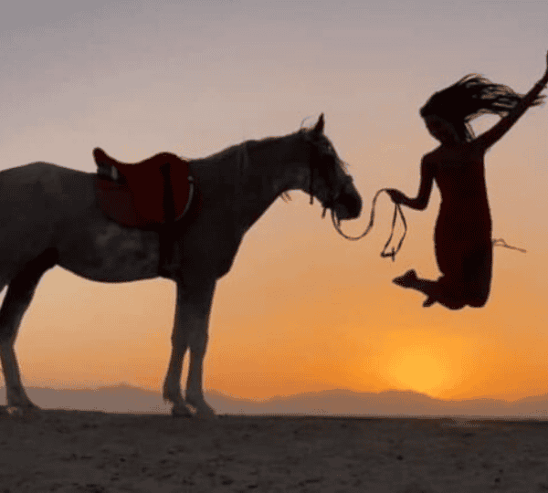 Horse Riding 2 Hours