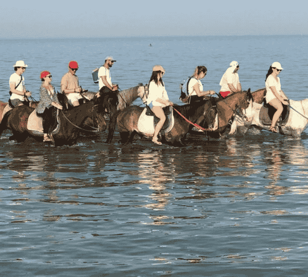 Horse Riding 2 Hours