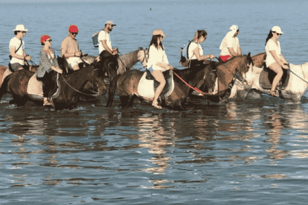 Horse Riding 2 Hours