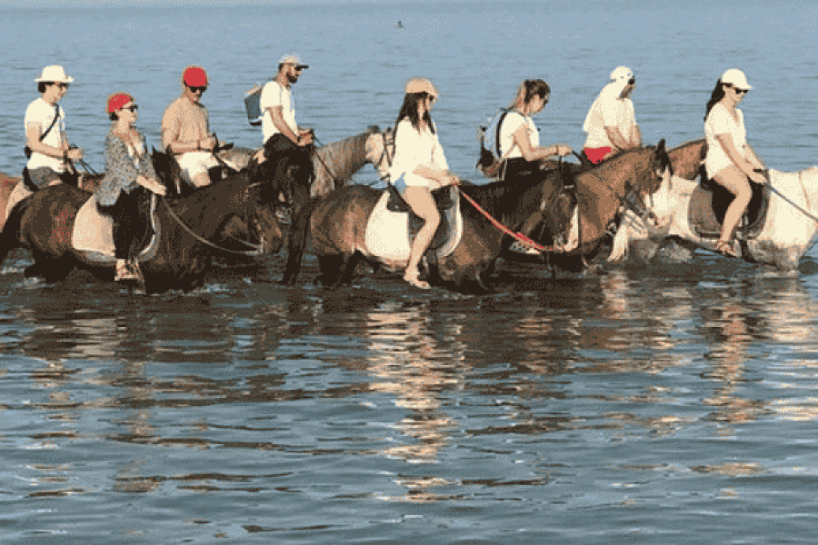 Horse Riding 2 Hours