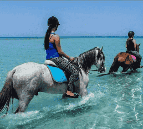 Horse Riding 2 Hours
