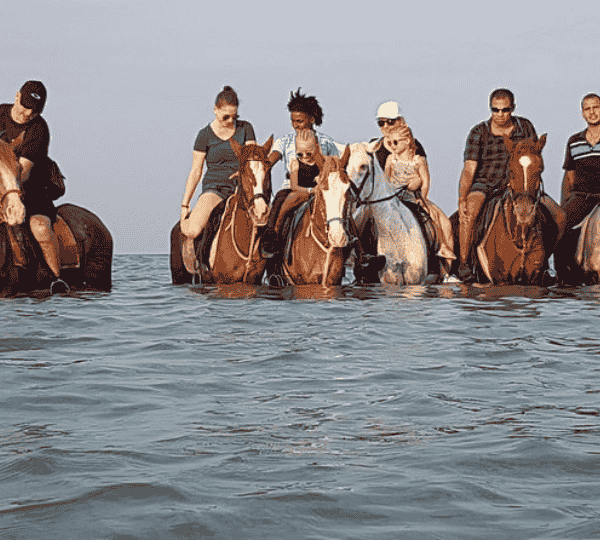 Horse Riding 2 Hours