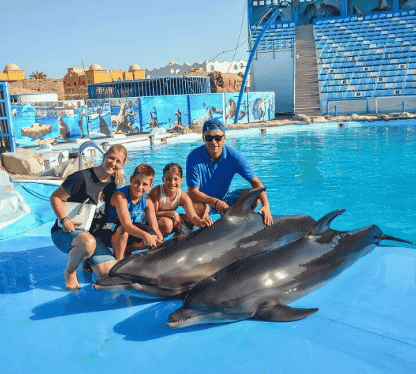 Photo Session with Dolphins