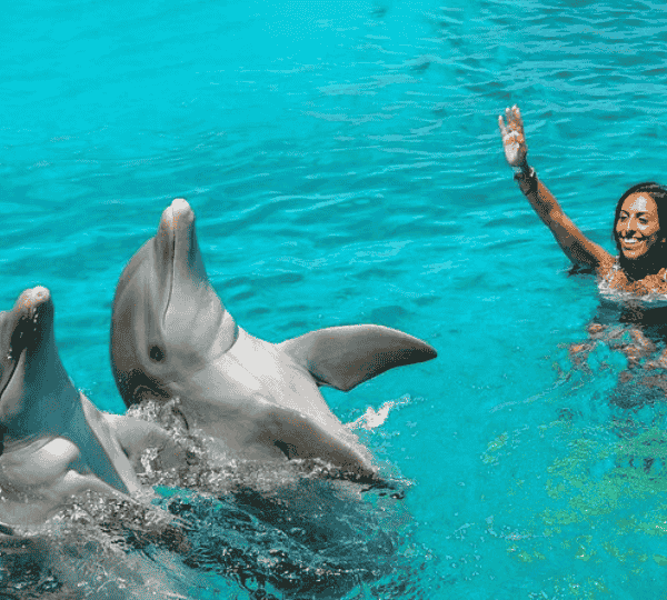 Photo Session with Dolphins