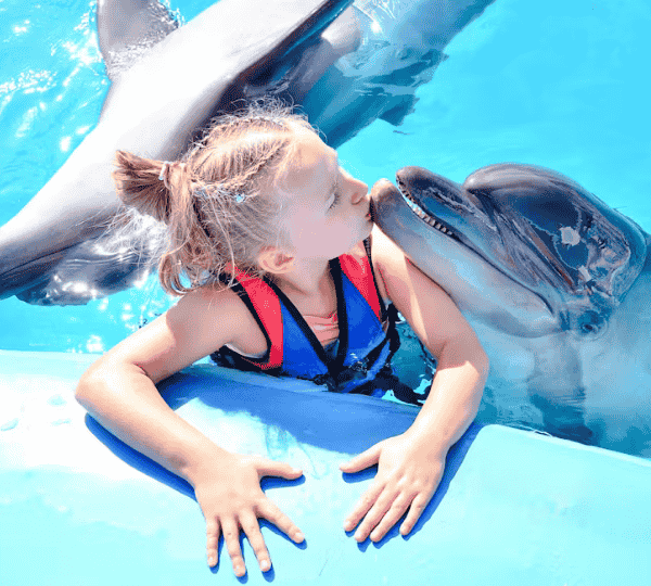 Photo Session with Dolphins