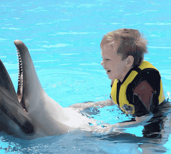 Photo Session with Dolphins