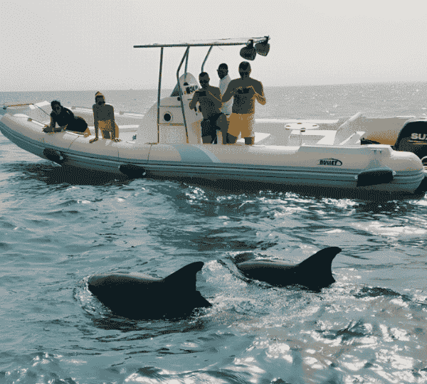 Private Speed Boat