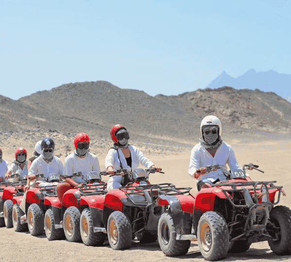 3 Hours Makadi Bay Safari