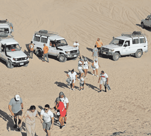 Super Safari