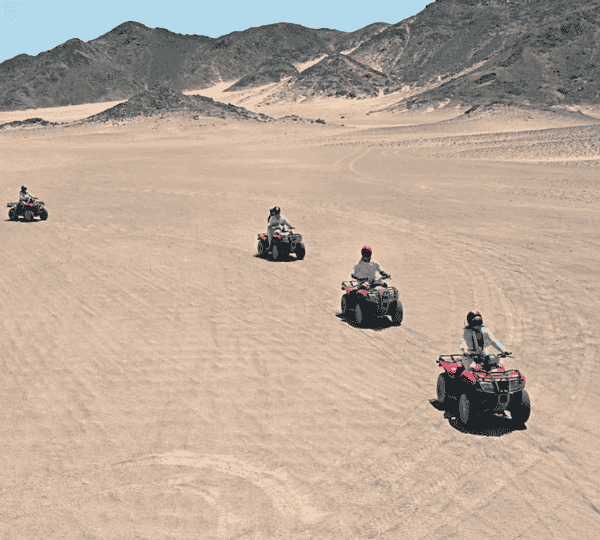 3 Hours Makadi Bay Safari