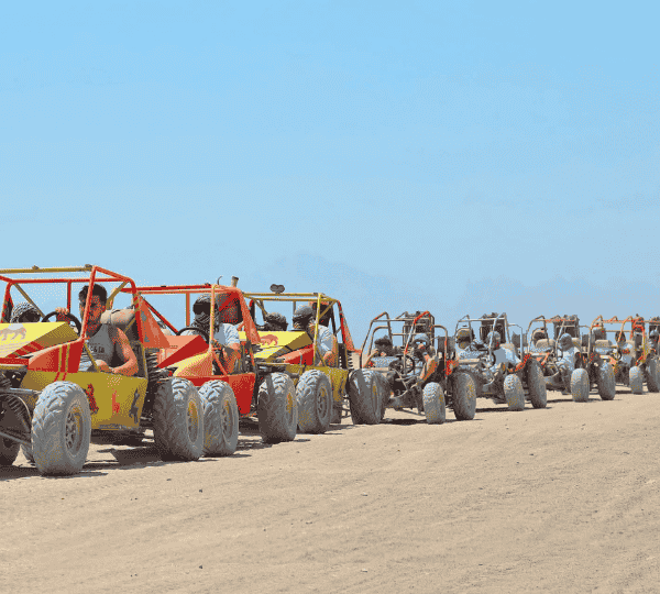 3 Hours Makadi Bay Safari