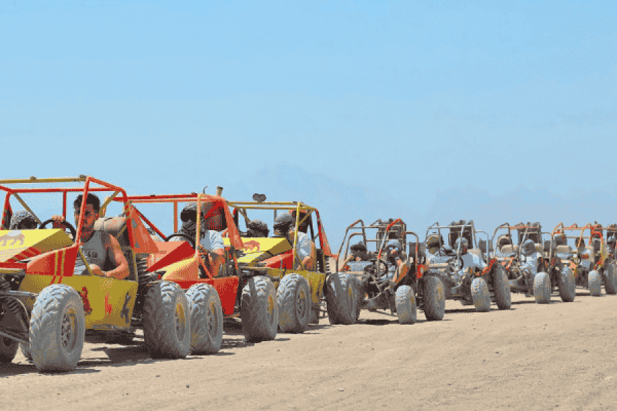 Super Safari