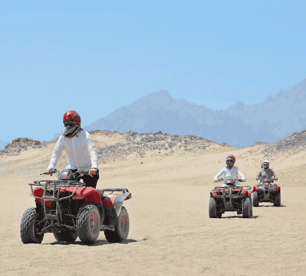 Super Safari