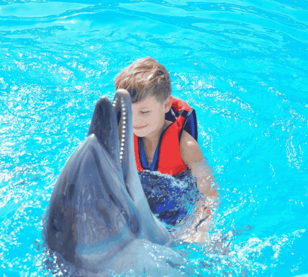 Swimming with Dolphins
