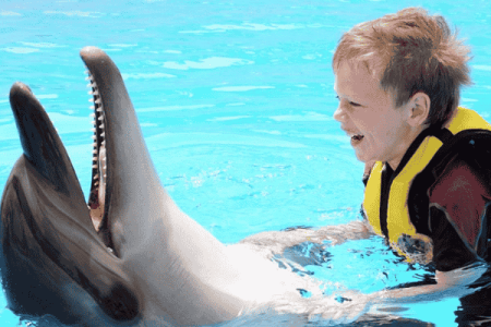 Swimming with dolphins
