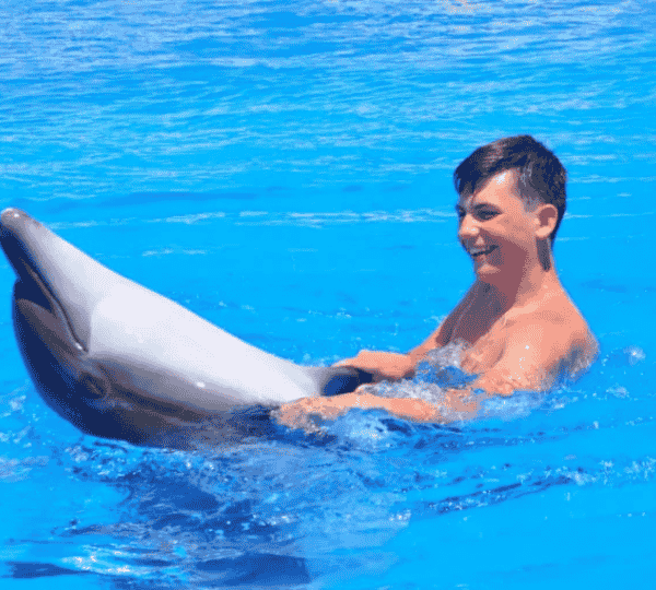 Swimming with Dolphins