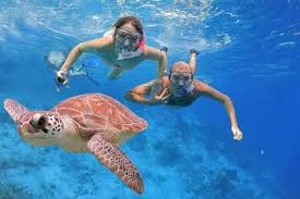 Abu Dabbab Turtle Beach